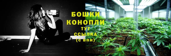 стаф Дмитровск