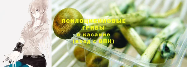 стаф Дмитровск