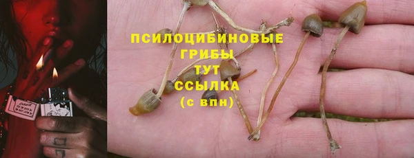 кристаллы Дмитров