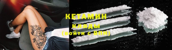 стаф Дмитровск