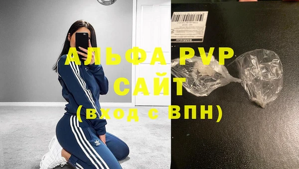 стаф Дмитровск