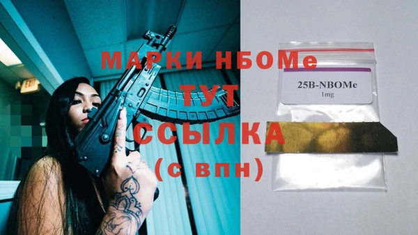 стаф Дмитровск