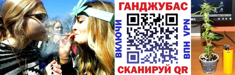 Каннабис план  Чудово 